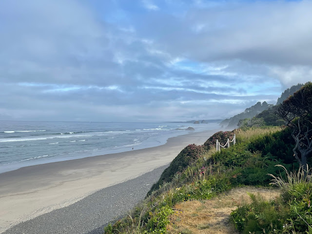 A view of the beach to the right of our backyard. Blue sky, tide going out. Empty beach.