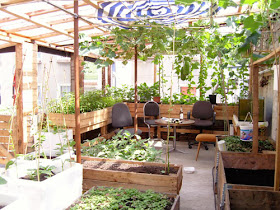 Thiết kế vườn rau tại nhà siêu đơn giản và độc đáo