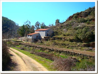 vista lateral