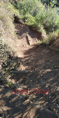 pengalaman mendaki bukit sikunir