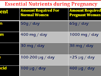 best diet during pregnancy chart