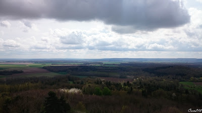 Reims vue du plateau de Californie