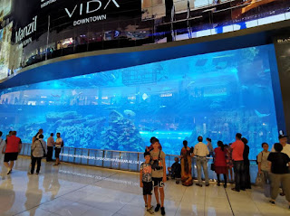 Dubái, Emiratos Árabes Unidos. Centro Comercial Dubai Mall. Dubai Aquarium.