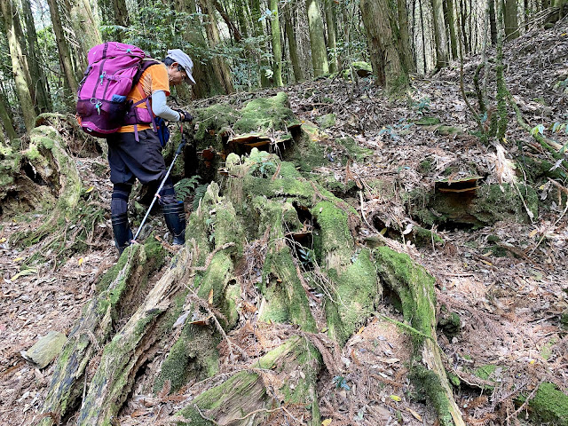 百志興保山下山途中