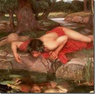 Narcissus