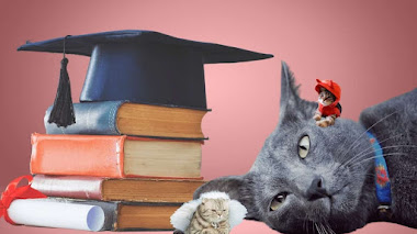 ¿Cómo educar a nuestro gato en 8 sencillos pasos?