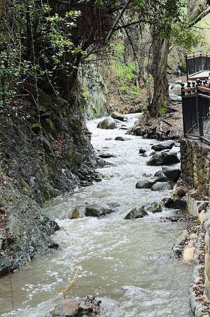 River next to Kakopetria village, in mountain Troodos, Cyprus.