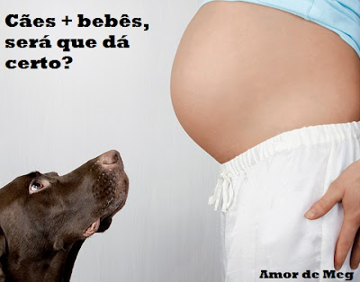 caes e bebes