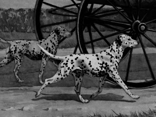 Dalmatians: Famous Firehouse Dogs