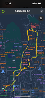 광화문 근처 산책 기록