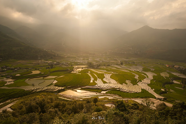 Photo tour mùa nước đổ trên ruộc bậc thang