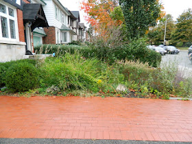 Paul Jung Gardening Services Midtown Toronto Fall Garden Cleanup before