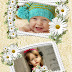 Beautiful Frame Pretty Flowers 