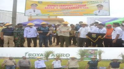 Sebagai Penyangga Kebutuhan Pangan, Kabupaten Lamteng Berhasil Kontribusi Padi Terbesar Di Lampung