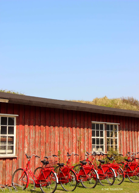 A row of seven red rental bikes in front of a red painted shed under a bright blue sky.