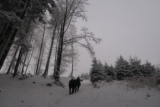 V zime v snehu cestou na Púpov pri Terchovej.