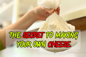 The secret to making your own cheese