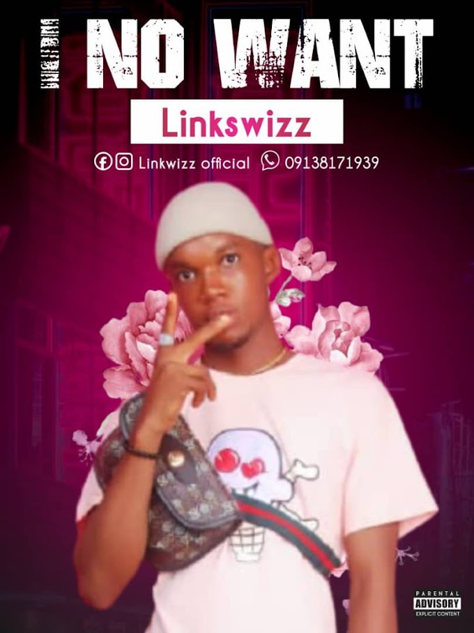 Music: Linkswizz - I No Want