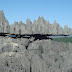 The Stone Forest: Straight And Sharp