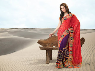 Embroidered Sarees Designs 2013