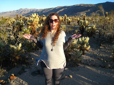 Holla at Cholla Gardens in Joshua Tree National Park California