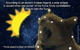 Real Cat Webster Eats the Sun--eclipse 2017