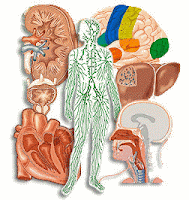 Química y la nutrición: Bioelementos