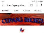 Channel Youtube Ikan Cupang Hias 