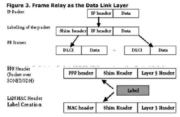 MPLS Layers