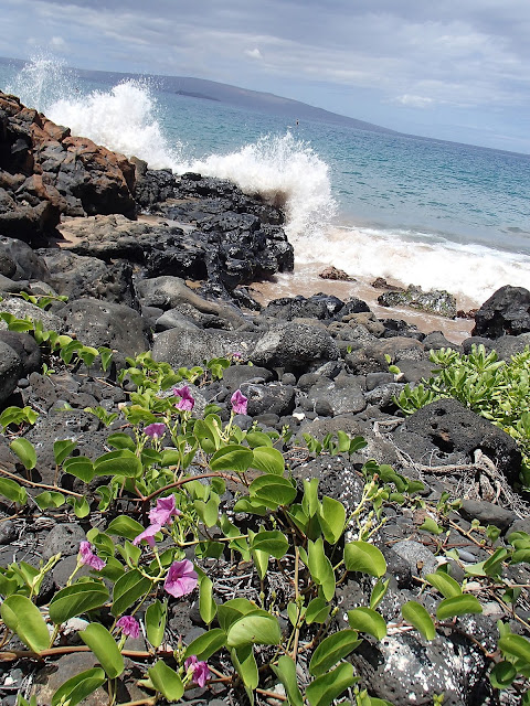 waves and flowers