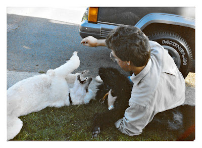 Max and Flavia, two Standard poodles, play with their owner, John, in Piedmont in the 1980's.