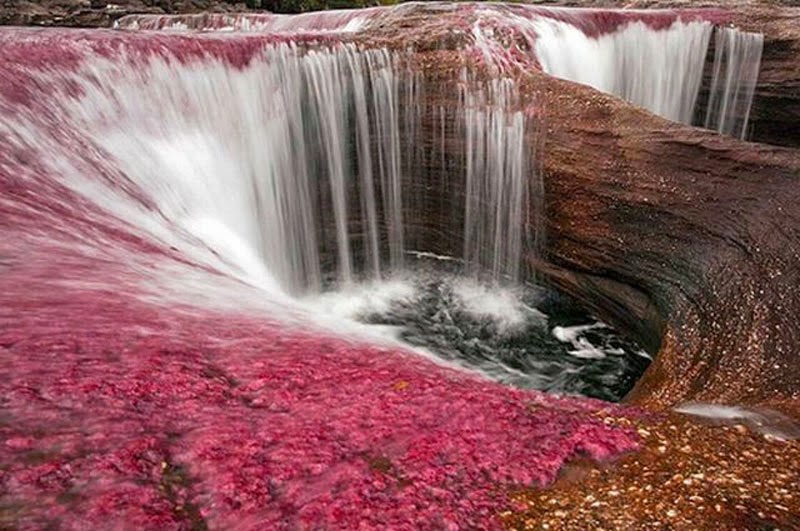 It’s normally just a bed of rocks covered in dull green mosses in the cool, clear current.