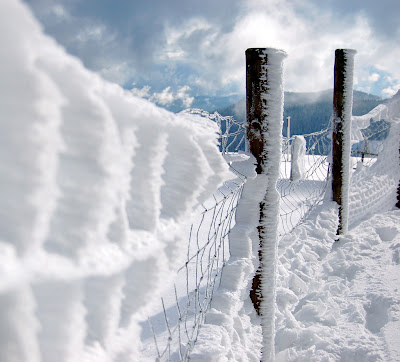 First snow by Vermario from flickr (CC-NC-SA)