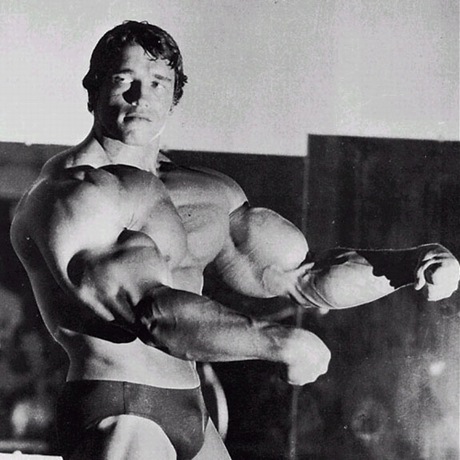 Arnold 14