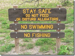 Estero Llanno State Park - alligator lake