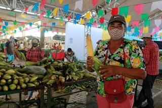 Festival do Milho da Cecaf supera expectativas e comercializa mais de 270 mil espigas