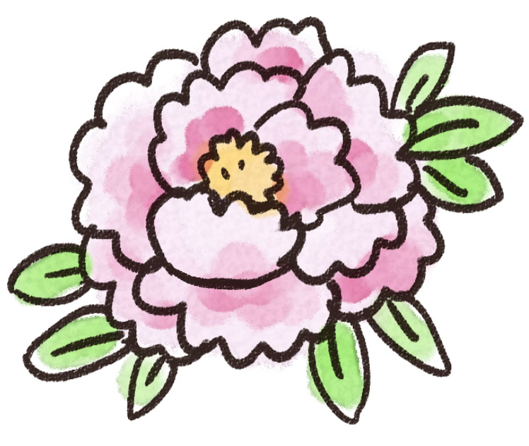 牡丹のイラスト 花 ゆるかわいい無料イラスト素材集