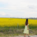 Canberra Floriade and yellow fields