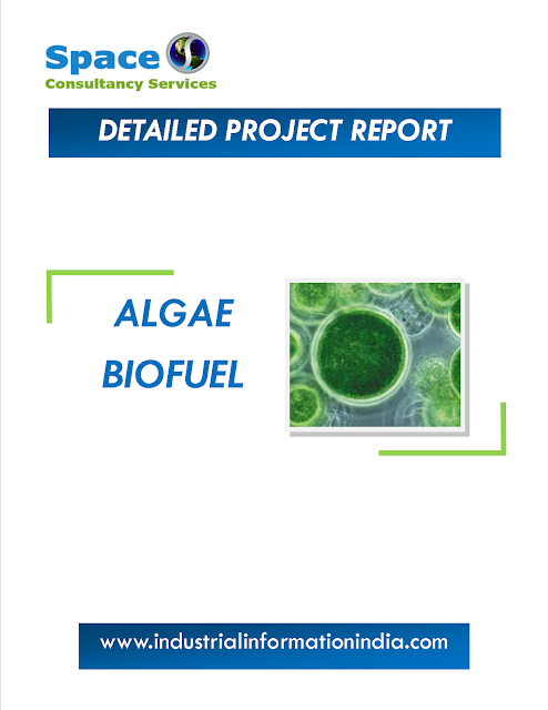 Algae Bio Diesel Extraction Project Report
