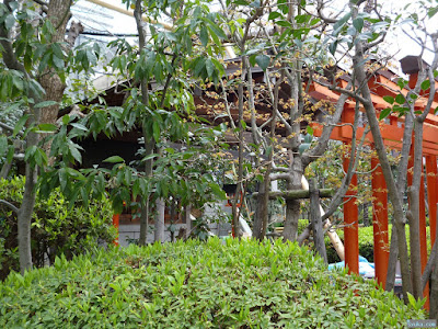 白長大神五社稲荷大神地主大神