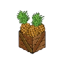 Pineapples