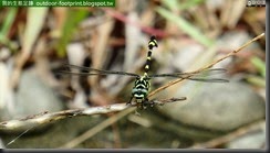 20140812_095724_022_No4park