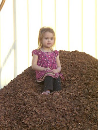 Dotty's Mountain