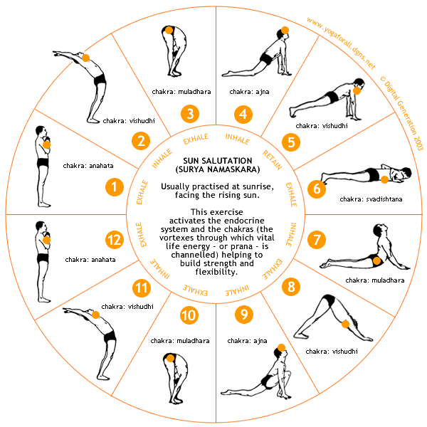 yoga found salutation sequence not Blog  sun poses