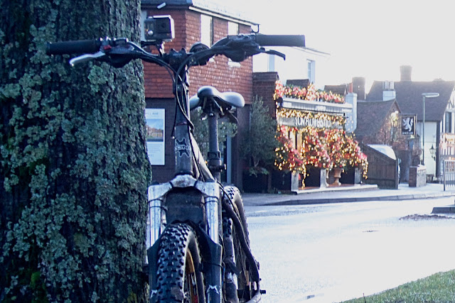 at the green christmas lights in the background bike leaning against a tree