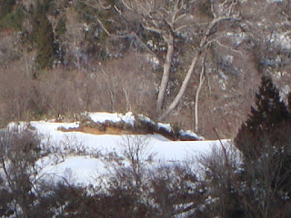 岐阜県の三柱鳥居peak1012拡大