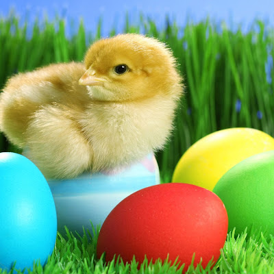 Easter gift download free wallpapers for iPad