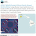 Russian Navy Fleet Practice Sinking U.S. Aircraft Carriers 35 Miles Off The Coast Of Hawaii