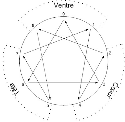 Le plus souvent, nous ne sommes pas conscients de nos motivations. Mieux nous connaître c'est d’abord prendre conscience de ce que nous recherchons ou fuyons. L'ennéagramme est un puissant outil pour nous aider dans cette démarche. Chacun des neuf types est identifié par un numéro de 1 à 9. Chaque type est associé à un centre : le ventre, le cœur et la tête. Les types 8, 9 et 1 appartiennent au centre vital (le ventre). Le centre vital représente la force ou le siège de la vie. Les types 8, 9 et 1 se fient d’abord à leur instinct, à leur intuition. Les types 2, 3 et 4 appartiennent au centre cœur. Le cœur est associé aux sentiments, aux idées et aux valeurs de l’individu. Les types 2, 3 et 4 sont très sensibles aux relations, aux sentiments. Les types 5, 6 et 7 appartiennent au centre-tête. La tête représente la raison et le savoir, mais également la spiritualité. Les types 5, 6 et 7 privilégient la pensée, la raison. Par ailleurs, chaque type de l’ennéagramme est relié, par des flèches, à deux autres types. Par exemple, le type 1 est associé aux types 4 et 7. Les deux flèches donnent des indications sur le comportement du type en situation d’intégration ou, au contraire, en situation de stress.