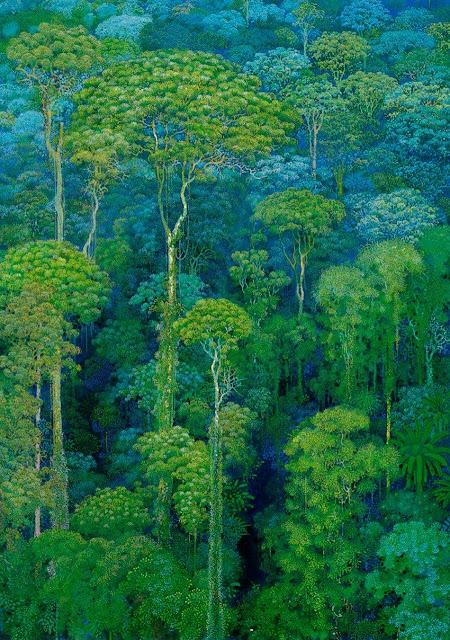 Hiroo Isono